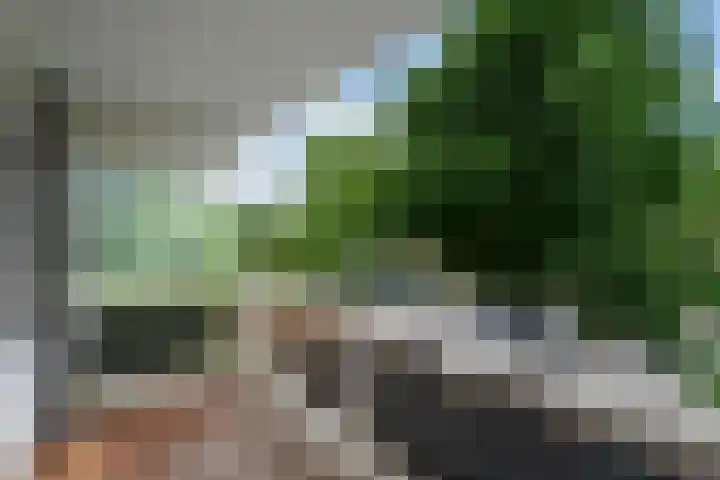 Parnassiaveld 39 Duivendrecht thumbnail 25