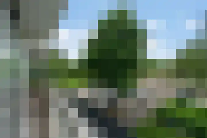 Parnassiaveld 39 Duivendrecht thumbnail 27