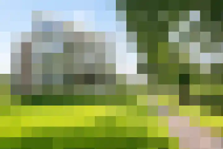 Parnassiaveld 39 Duivendrecht thumbnail 31