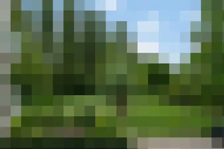 Parnassiaveld 39 Duivendrecht thumbnail 4