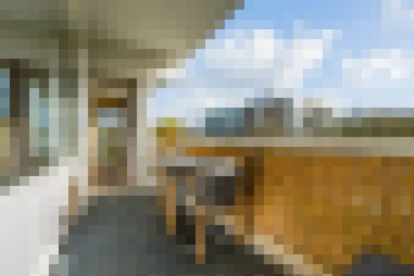 Parnassiaveld 41 Duivendrecht thumbnail 14