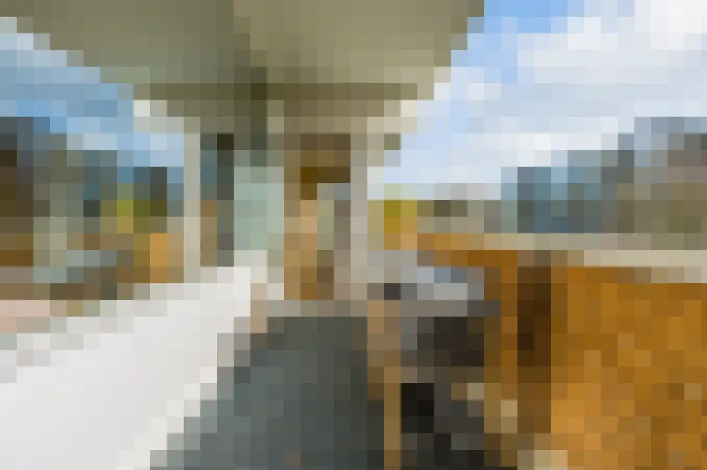 Parnassiaveld 41 Duivendrecht thumbnail 8