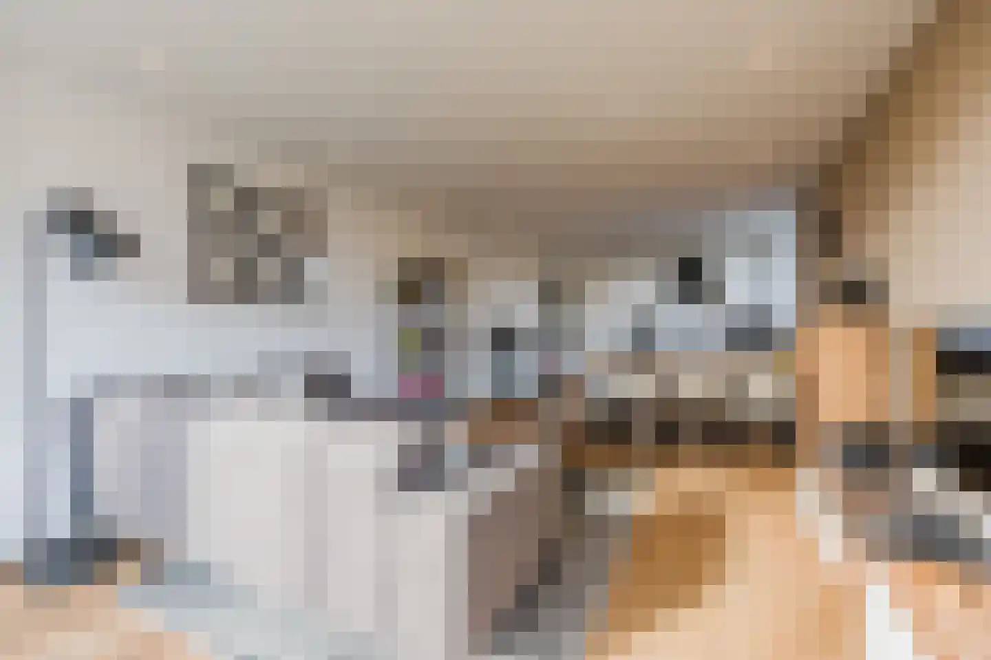 Parnassiaveld 41 Duivendrecht thumbnail 9