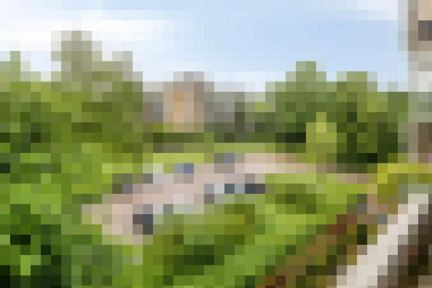 Parnassiaveld 51 Duivendrecht thumbnail 28