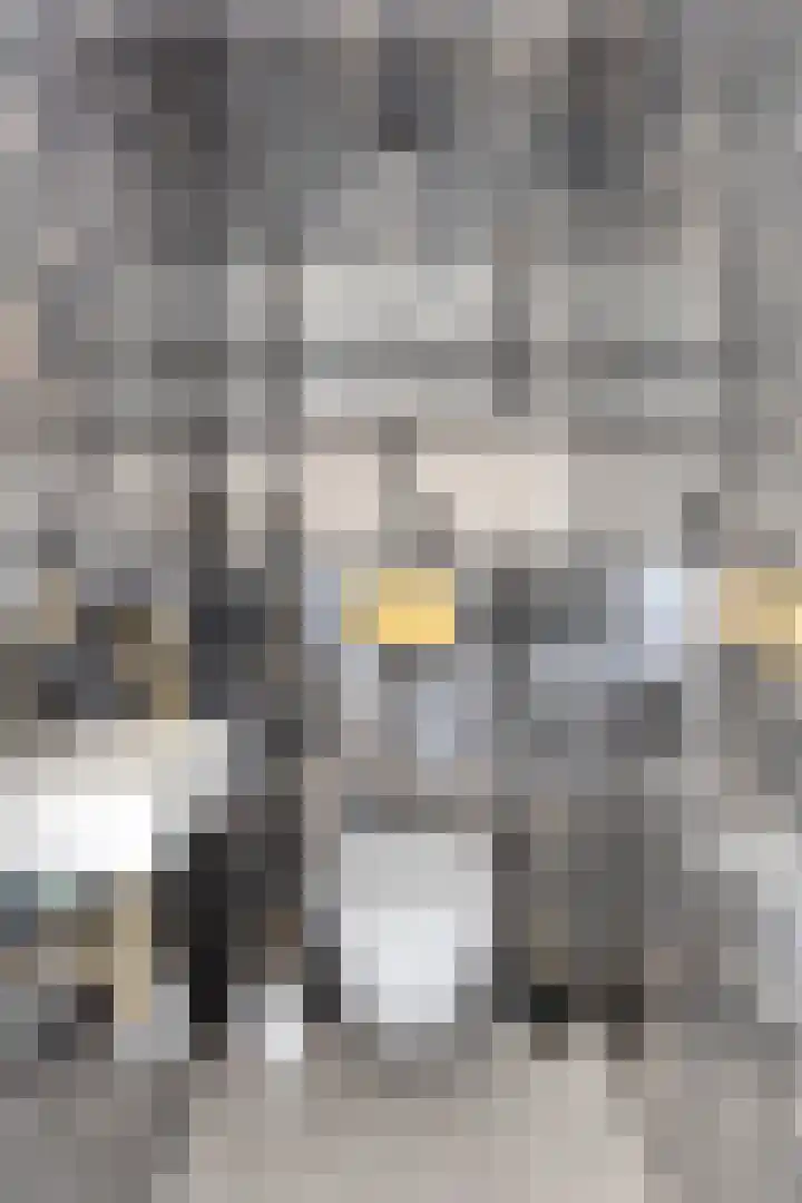 Parnassiaveld 53 Duivendrecht thumbnail 8