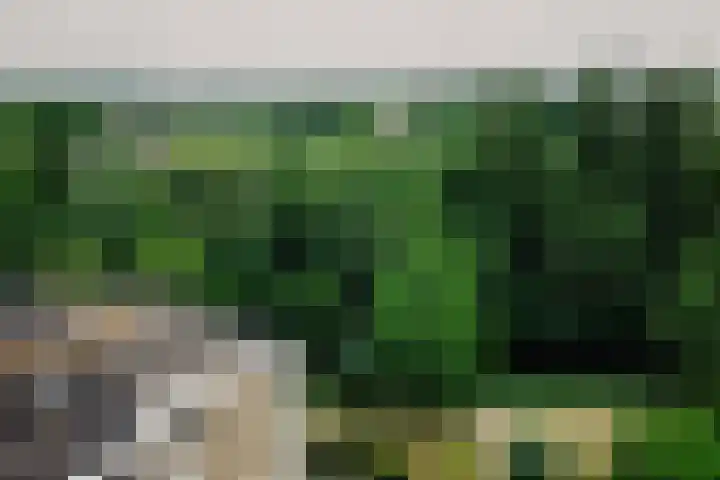 Parnassiaveld 56 Duivendrecht thumbnail 30