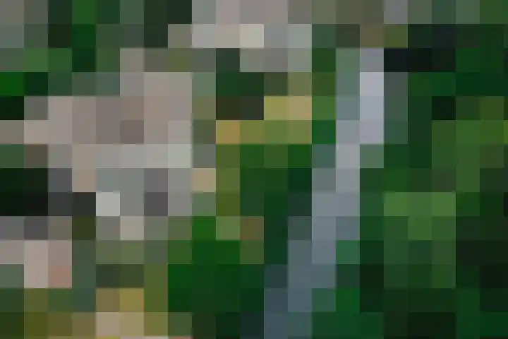 Parnassiaveld 56 Duivendrecht thumbnail 31