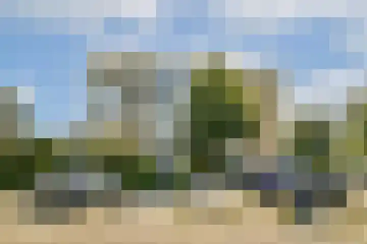 Parnassiaveld 56 Duivendrecht thumbnail 32