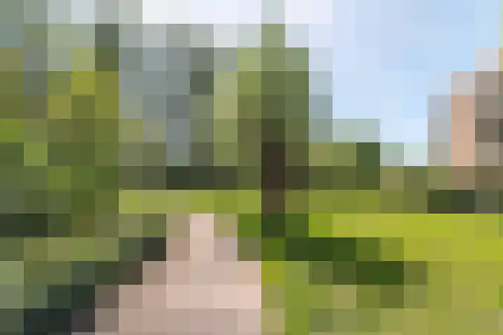 Parnassiaveld 56 Duivendrecht thumbnail 34