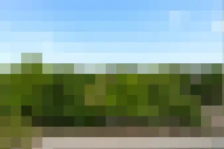 Parnassiaveld 58 Duivendrecht thumbnail 36