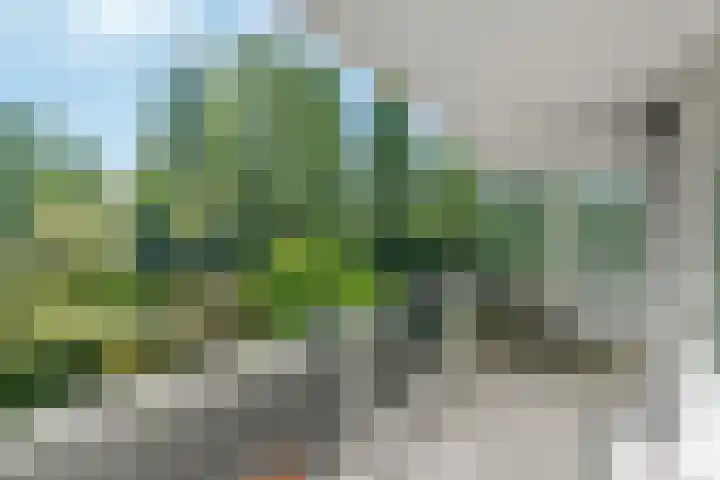 Parnassiaveld 65 Duivendrecht thumbnail 22