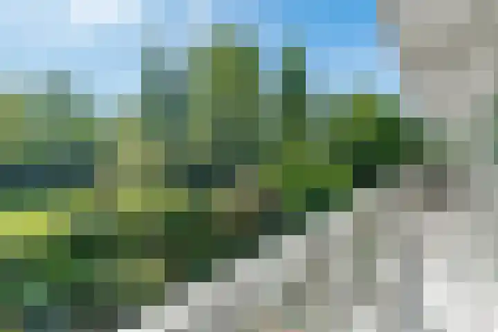 Parnassiaveld 65 Duivendrecht thumbnail 24
