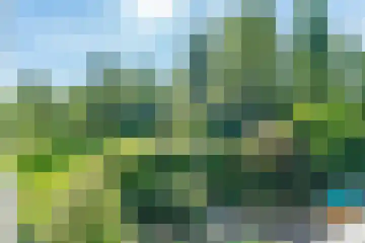 Parnassiaveld 65 Duivendrecht thumbnail 25