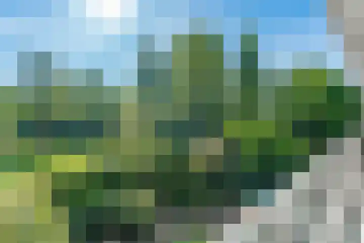 Parnassiaveld 65 Duivendrecht thumbnail 26