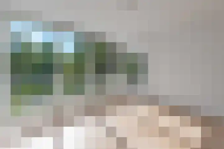 Parnassiaveld 65 Duivendrecht thumbnail 9