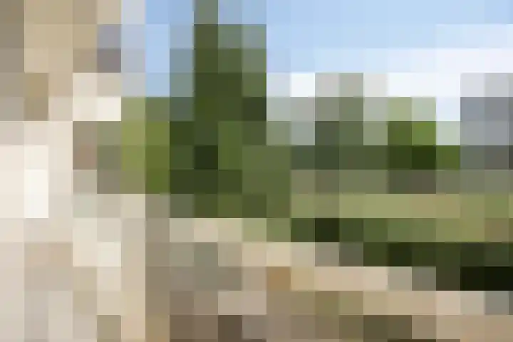 Parnassiaveld 7 Duivendrecht thumbnail 13