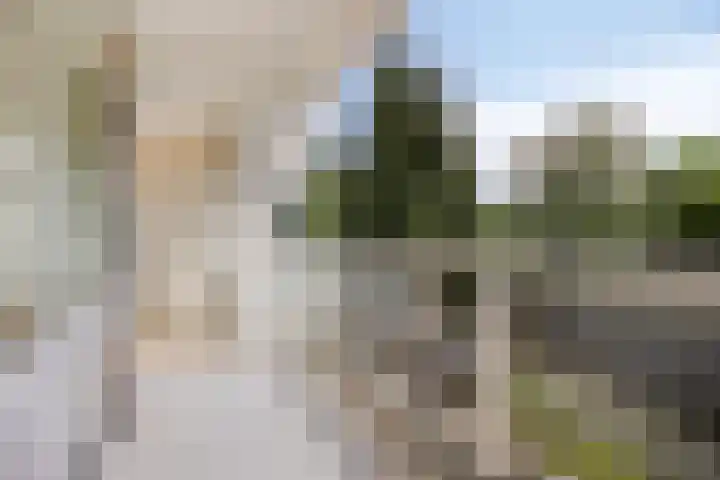 Parnassiaveld 7 Duivendrecht thumbnail 4