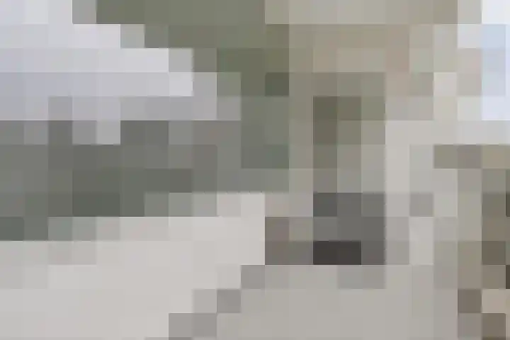 Parnassiaveld 71 Duivendrecht thumbnail 17