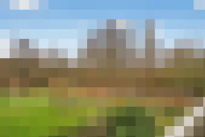 Parnassiaveld 71 Duivendrecht thumbnail 18
