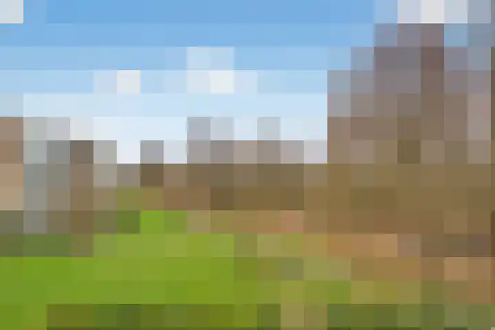Parnassiaveld 71 Duivendrecht thumbnail 19