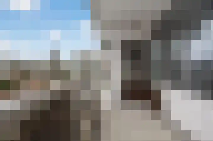 Parnassiaveld 75 Duivendrecht thumbnail 19