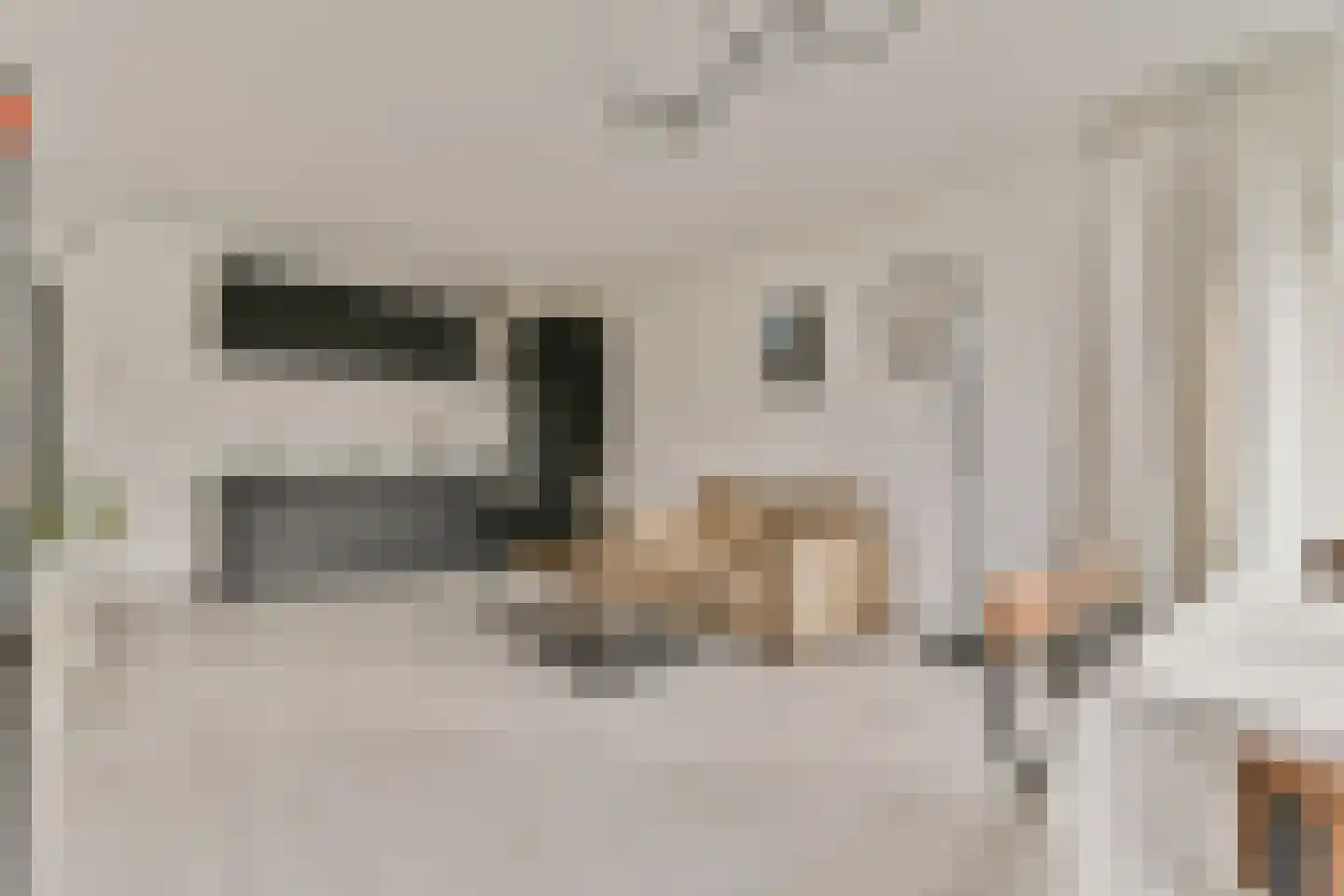 Parnassiaveld 8 Duivendrecht thumbnail 12