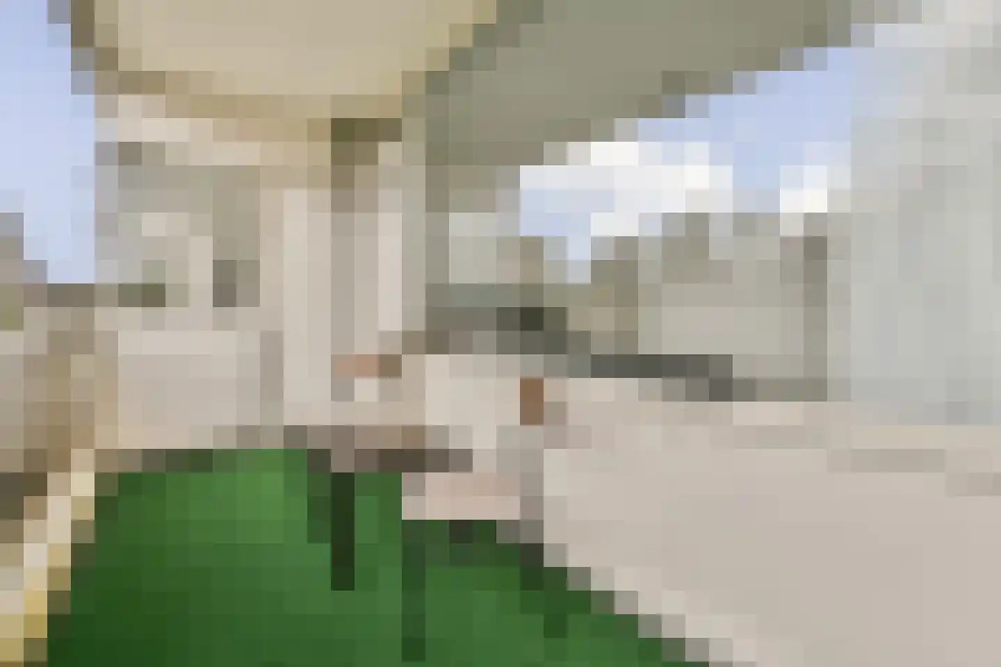 Parnassiaveld 8 Duivendrecht thumbnail 15
