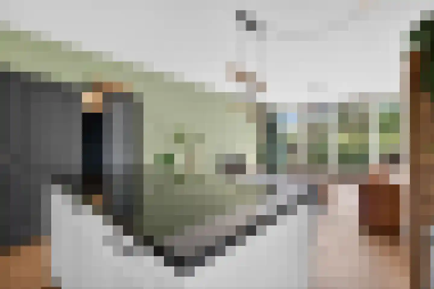 Parnassiaveld 90 Duivendrecht thumbnail 5