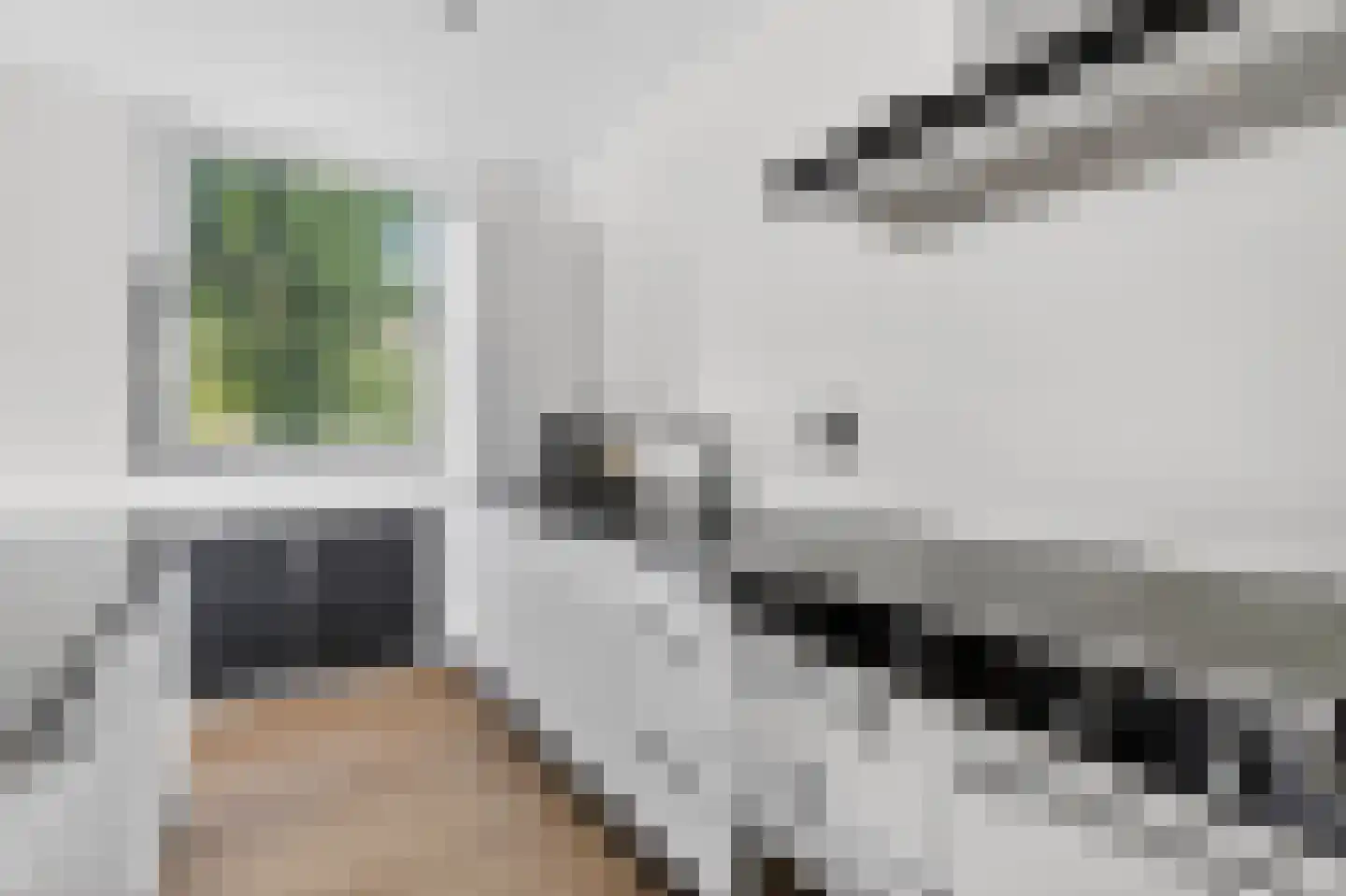 Parnassiaveld 90 Duivendrecht thumbnail 7
