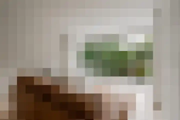 Parnassiaveld 96 Duivendrecht thumbnail 10