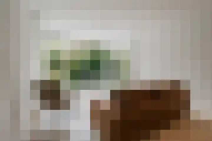 Parnassiaveld 96 Duivendrecht thumbnail 11
