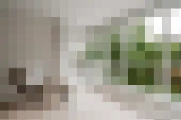 Parnassiaveld 96 Duivendrecht thumbnail 13