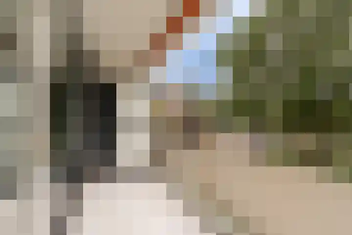 Parnassiaveld 96 Duivendrecht thumbnail 22