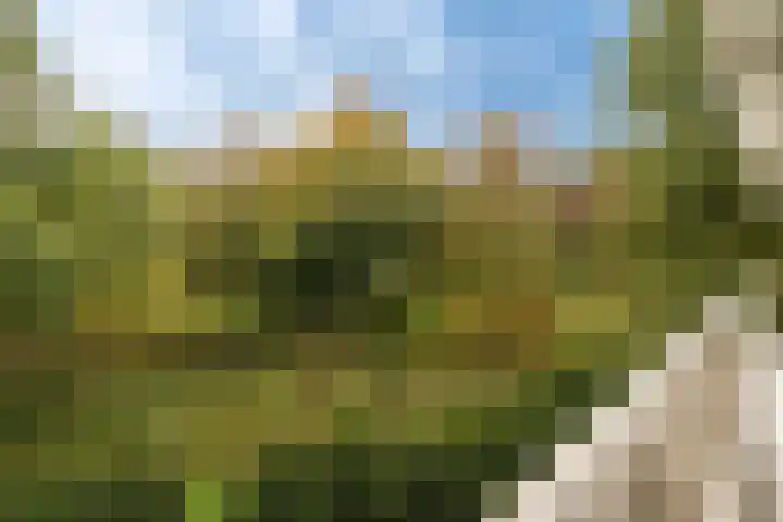 Parnassiaveld 96 Duivendrecht thumbnail 24