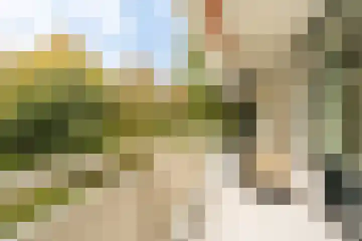 Parnassiaveld 96 Duivendrecht thumbnail 5
