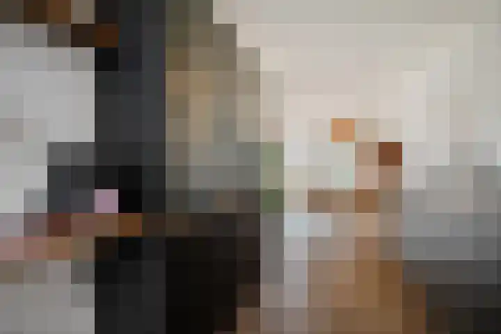 Parnassusbloemlaan 9 Vleuten thumbnail 11