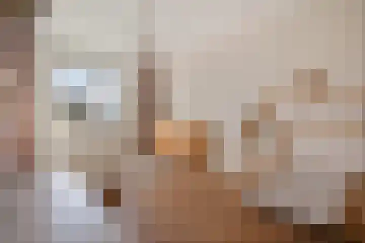 Parnassusbloemlaan 9 Vleuten thumbnail 15