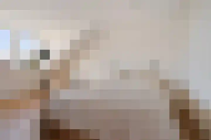 Parnassusbloemlaan 9 Vleuten thumbnail 23