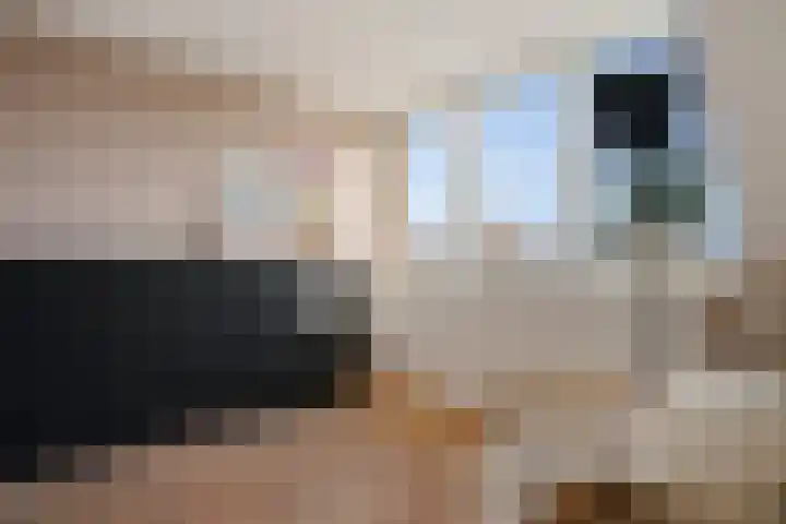 Parnassusbloemlaan 9 Vleuten thumbnail 24