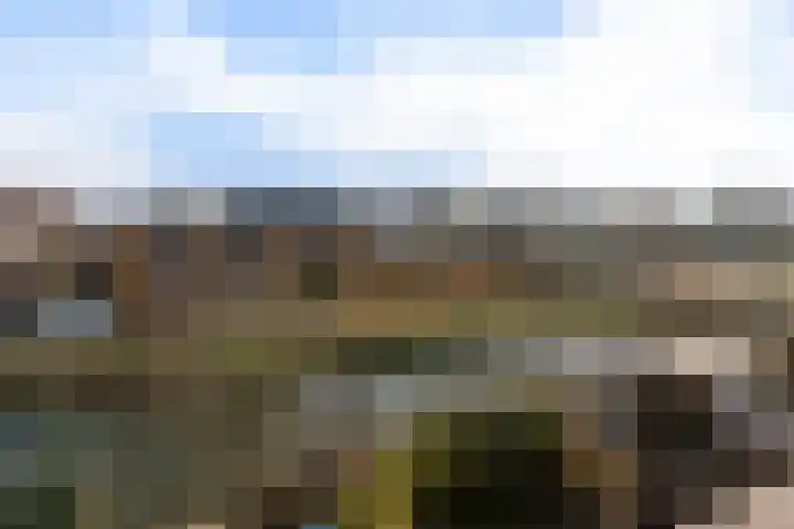 Parnassusbloemlaan 9 Vleuten thumbnail 25