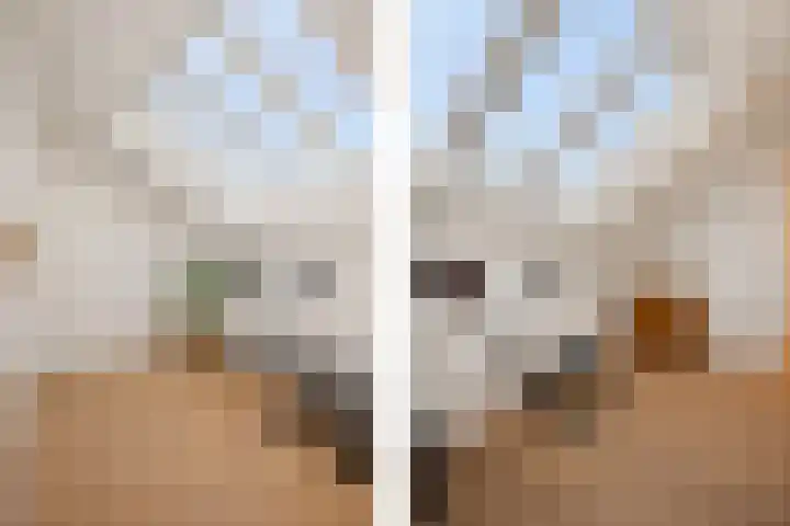 Parnassusbloemlaan 9 Vleuten thumbnail 26