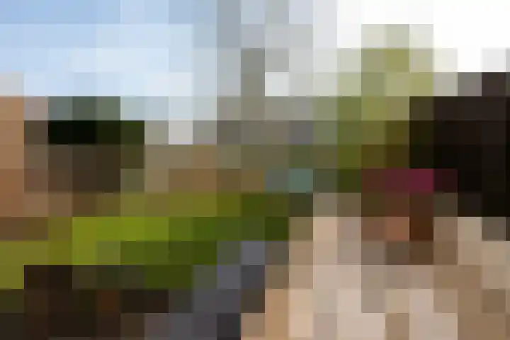 Parnassusbloemlaan 9 Vleuten thumbnail 27