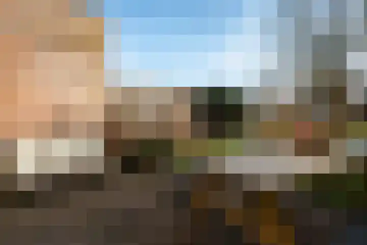 Parnassusbloemlaan 9 Vleuten thumbnail 28