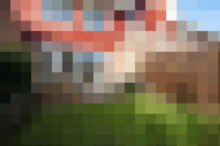 Parnassusbloemlaan 9 Vleuten thumbnail 29