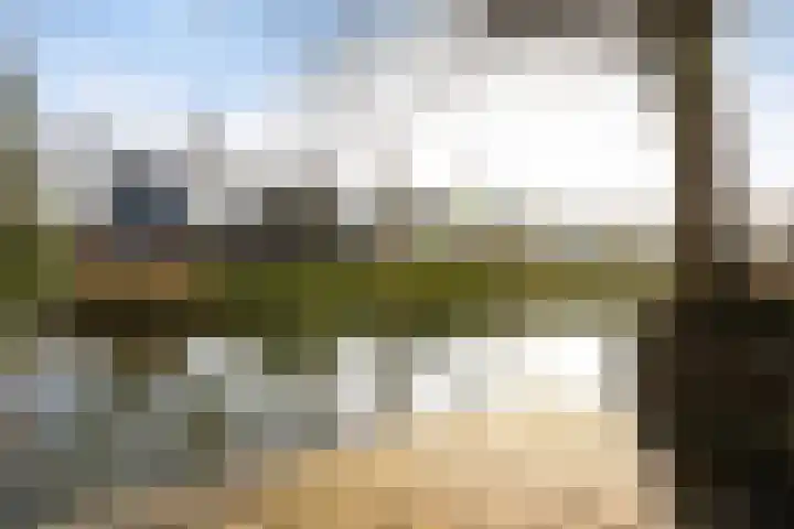 Parnassusbloemlaan 9 Vleuten thumbnail 31