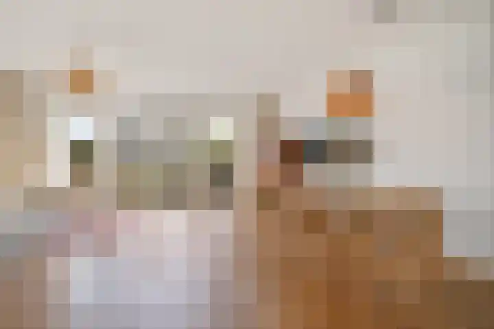 Parnassusbloemlaan 9 Vleuten thumbnail 4