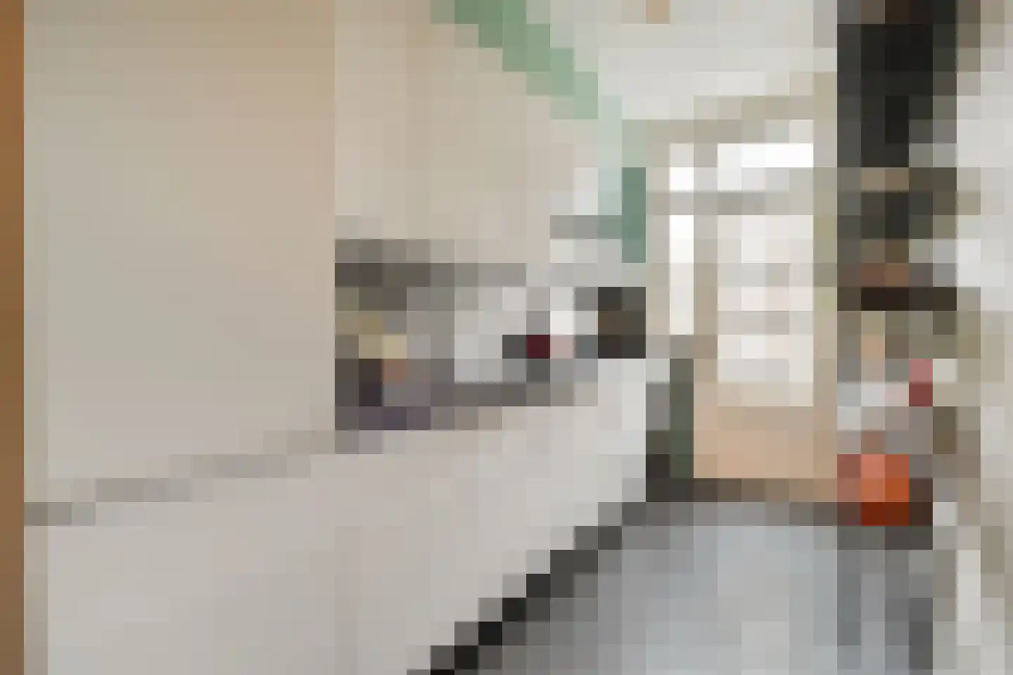 Parnassusweg 11 3 Amsterdam thumbnail 10