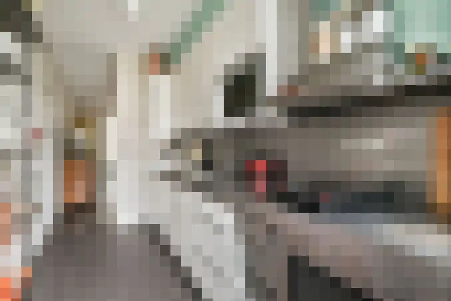Parnassusweg 11 3 Amsterdam thumbnail 11