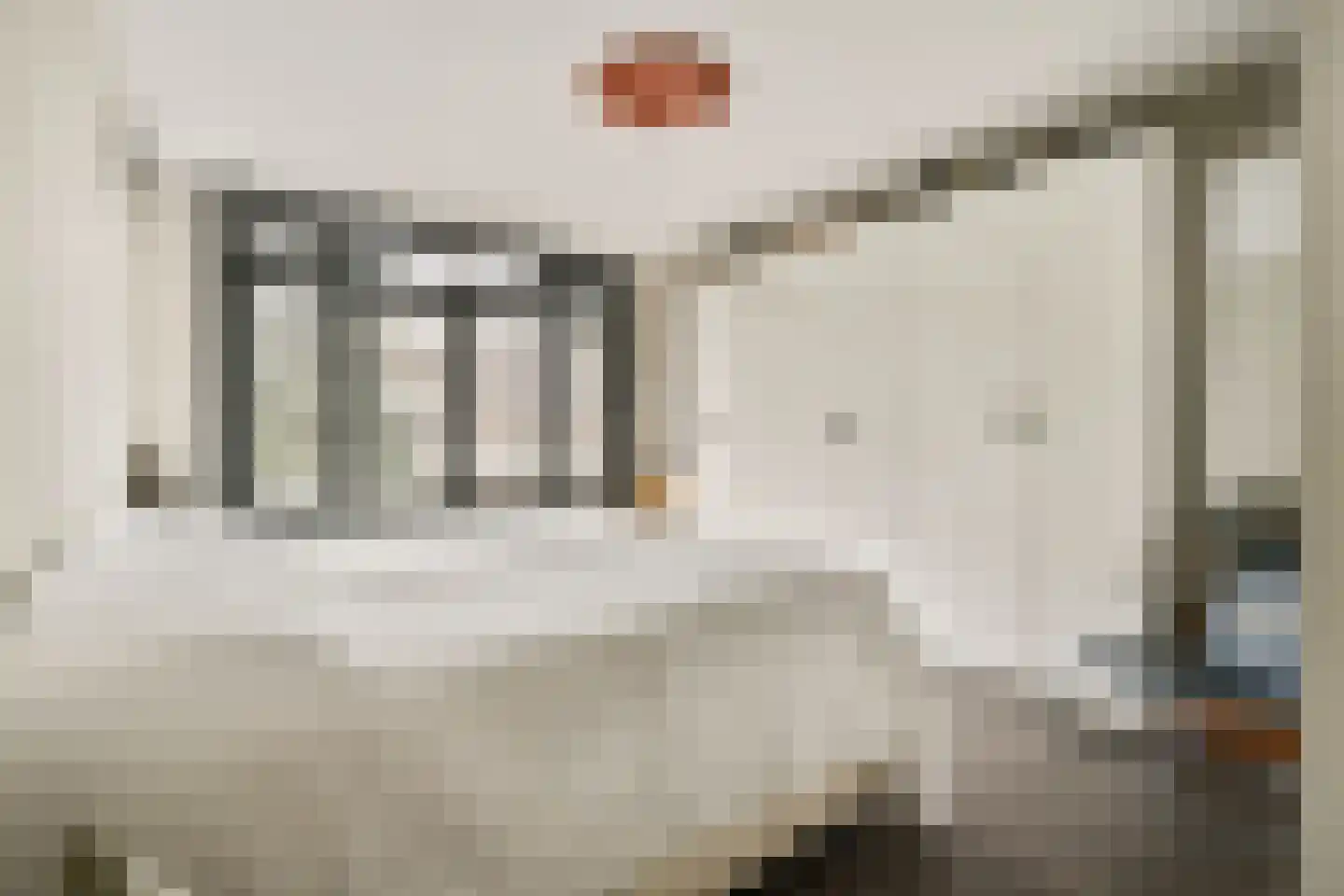 Parnassusweg 11 3 Amsterdam thumbnail 12