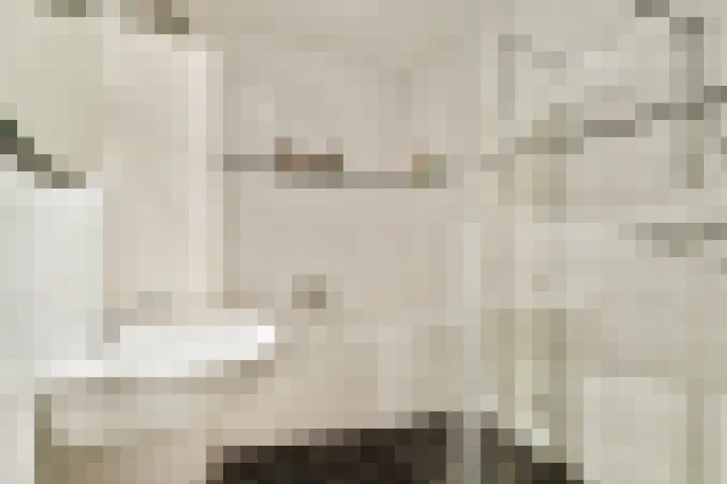 Parnassusweg 11 3 Amsterdam thumbnail 15